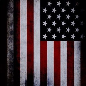 Meet your Posher, Owen